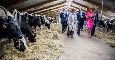 Il re e la regina dei Paesi Bassi visitano un allevamento a Gouderak (Foto Getty)